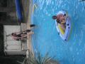 P7100158 (Copier).JPG